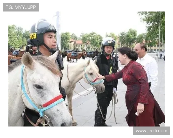 越南队金星队服 越南队金星队服